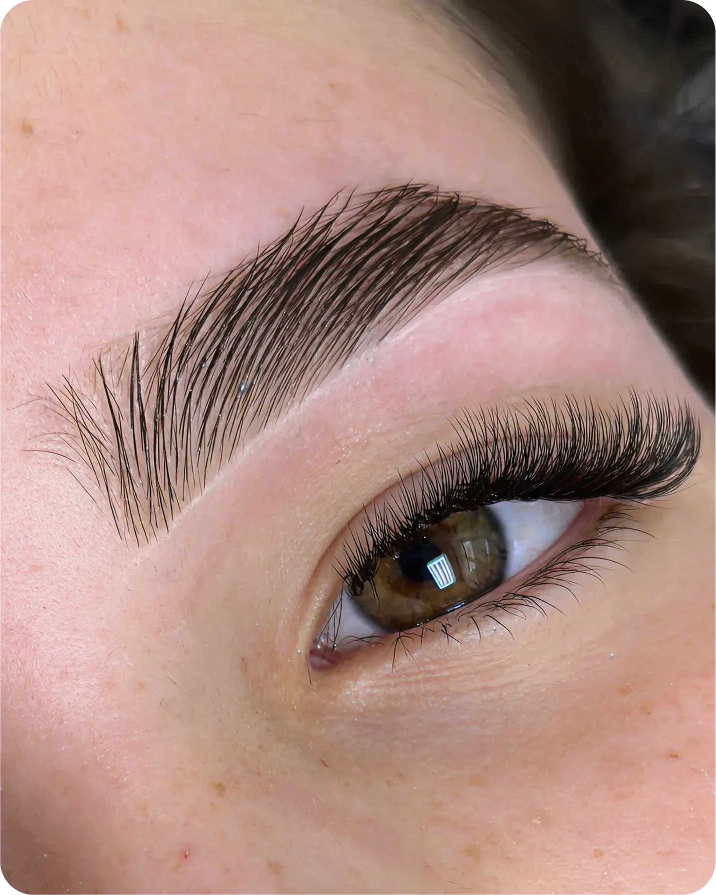 Brows Wax + Tint Hybrid
